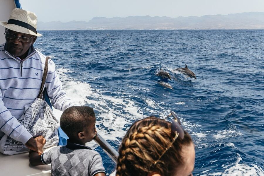 From Puerto Rico de Gran Canaria: Dolphin Watching Cruise - The sighting guarantee and what it really means