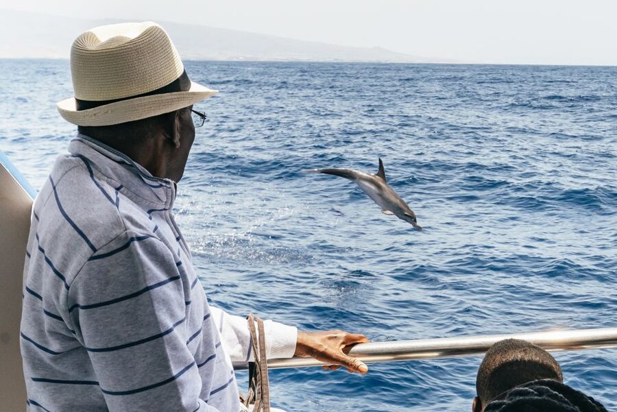 From Puerto Rico de Gran Canaria: Dolphin Watching Cruise - Seasickness: the main issue to take seriously
