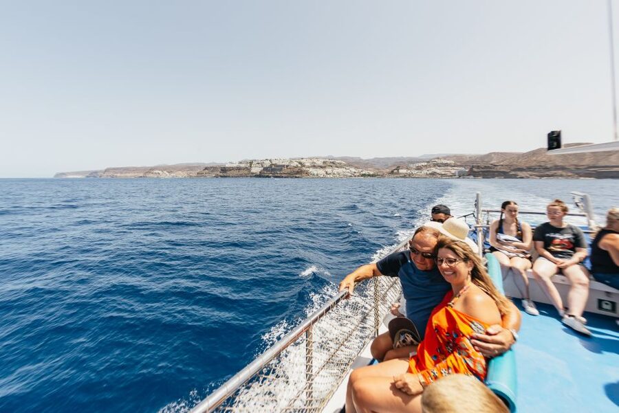 From Puerto Rico de Gran Canaria: Dolphin Watching Cruise - What you get for $47