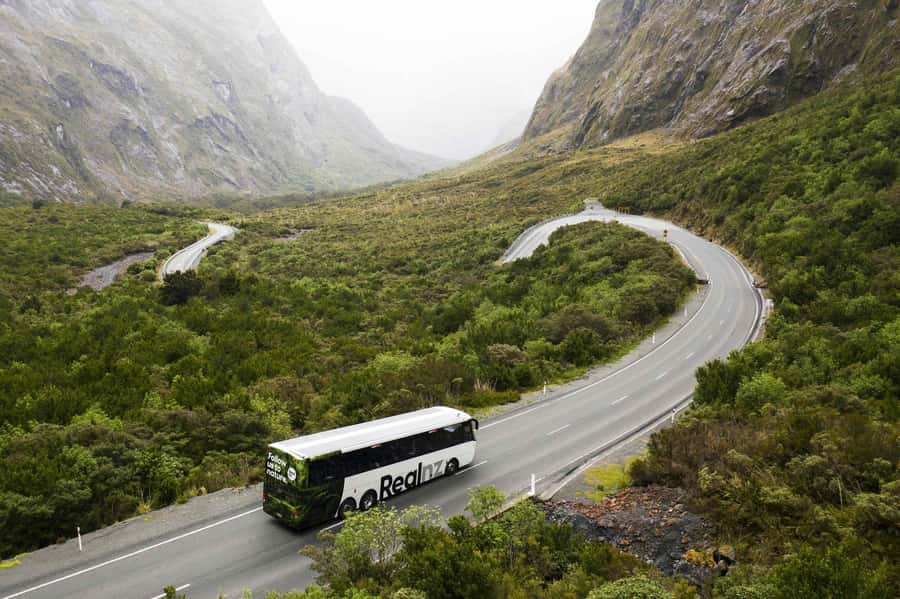 From Queenstown: Milford Sound Cruise and Coach Day Tour - Why the Queenstown to Milford Sound road matters