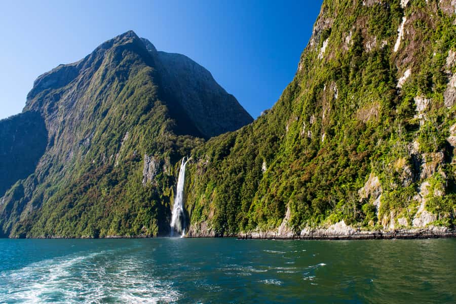 From Queenstown Milford Sound Cruise & Glass-Roof Coach Tour - Monkey Creek brings wildlife and mountain water
