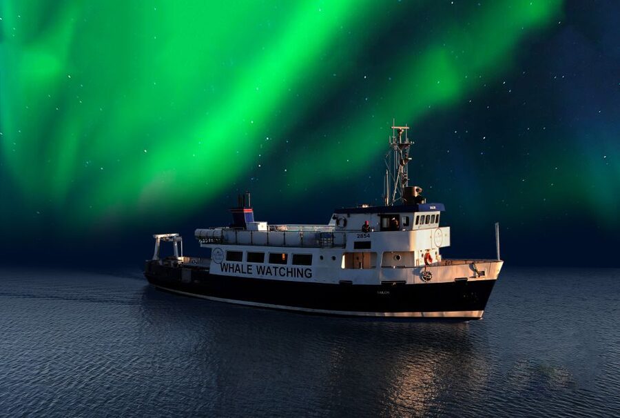 From Reykjavik: Northern Lights Sightseeing Cruise - Leaving Reykjavik from the Old Harbour