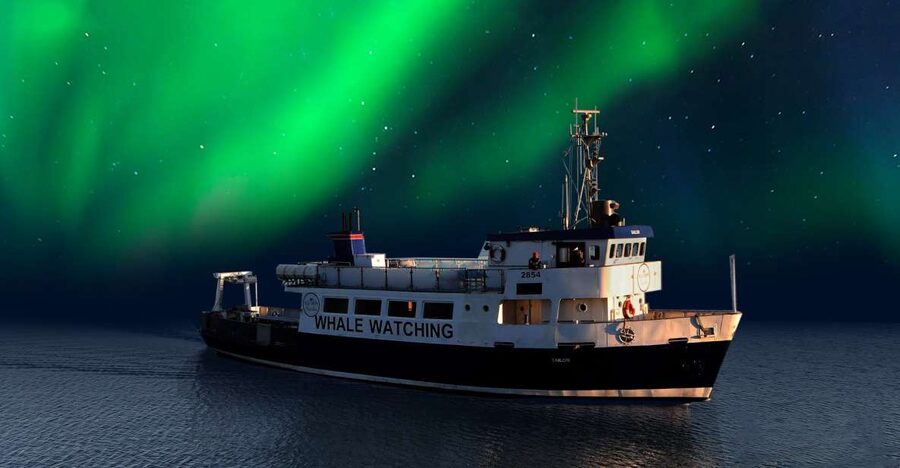 From Reykjavik: Northern Lights Sightseeing Cruise - Watching Reykjavik Fade Behind You