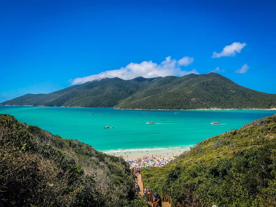 From Rio: Arraial do Cabo Day Trip with Boat Tour - Key details before you reserve