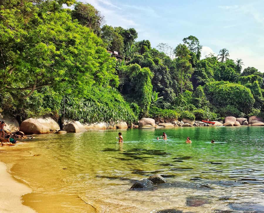From Rio de Janeiro: Angra dos Reis Boat Trip with Lunch - Ilha Grande and the first swim stops