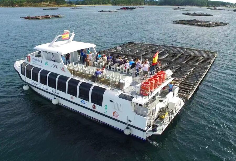 From Santiago: Tour to Rias Baixas with Boat Trip and Winery - Five things to know before you go
