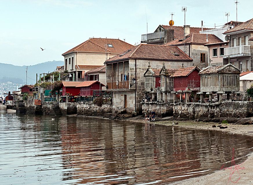 From Santiago: Tour to Rias Baixas with Boat Trip and Winery - The winery: learning what makes Albariño special