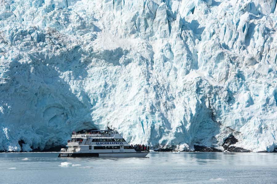 From Seward: Kenai Fjords National Park Cruise with Lunch - Quick takeaways