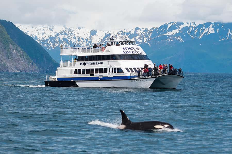 From Seward: Kenai Fjords National Park Cruise with Lunch - Leaving Resurrection Bay by catamaran