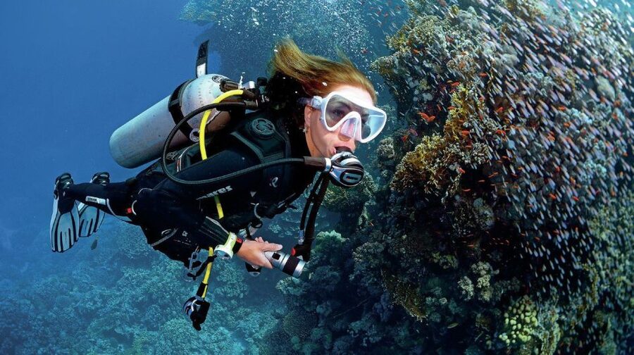 From Sharm: Ras Muhammed & White Island By Boat & intro Dive - The important points at a glance