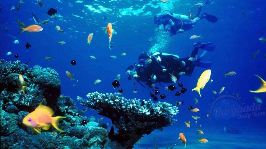 From Sharm: Ras Muhammed & White Island By Boat & intro Dive - Snorkeling equipment needs a careful check
