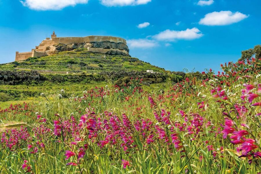 From Sliema: Gozo, Comino & The Blue Lagoon Boat & Bus Tour - The Comino caves on the way home