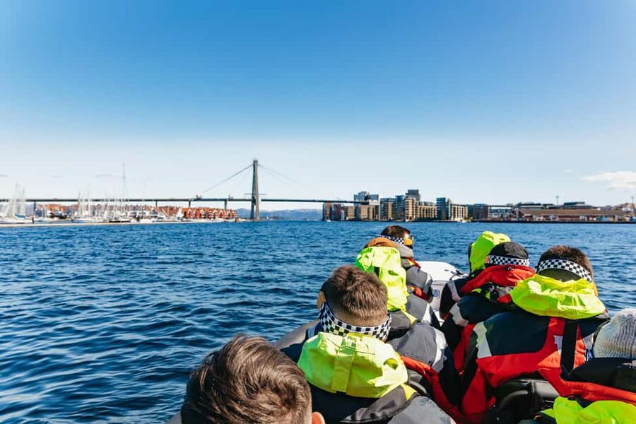 From Stavanger: Lysefjorden & Pulpit Rock RIB Boat Tour - Wildlife and small details along the fjord