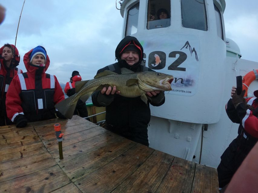 From Svolvaer: Lofoten Fishing Boat Cruise - Coffee, biscuits, and a cold-weather pause