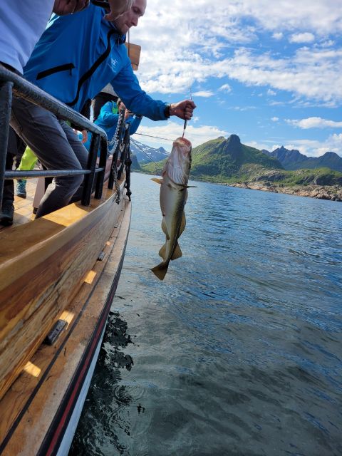 From Svolvaer: Lofoten Fishing Boat Cruise - A useful lesson before the first cast