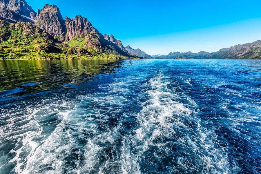 From Svolvær: Lofoten Islands Silent Trollfjord Cruise - Is $140 a fair price?