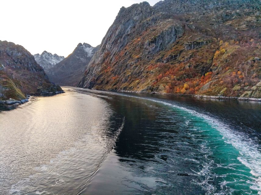 From Svolvær: Lofoten Islands Silent Trollfjord Cruise - Fiskerkona and Høla: the scenic route begins