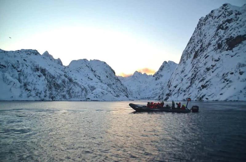 From Svolvær: Lofoten RIB Sea Eagle Safari Trollfjord Cruise - Who should book this Svolvær excursion?