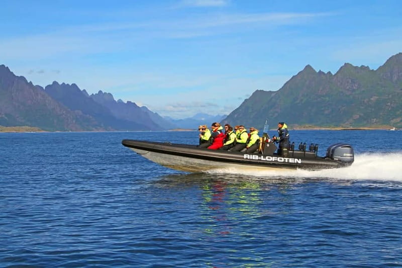 From Svolvær: Lofoten RIB Sea Eagle Safari Trollfjord Cruise - Why the RIB ride is more than transport