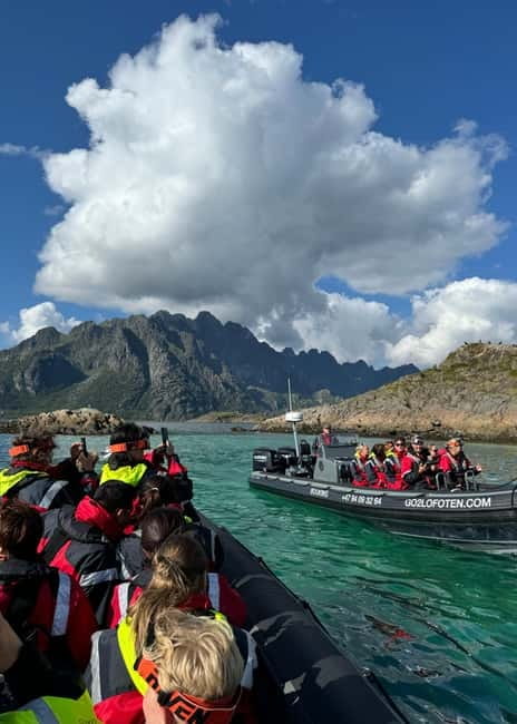 From Svolvær: RIB Boat Lofoten Trollfjord Sea Eagle Safari - Beaches, waterfalls, and Viking stories