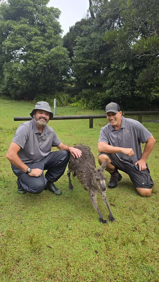 From Sydney: Jervis Bay Day Tour and Dolphin Watching Cruise - Key points to know before booking