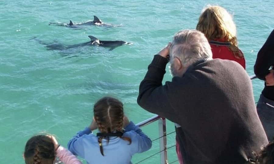From Sydney: Jervis Bay Day Tour and Dolphin Watching Cruise - Huskisson for lunch and a breather
