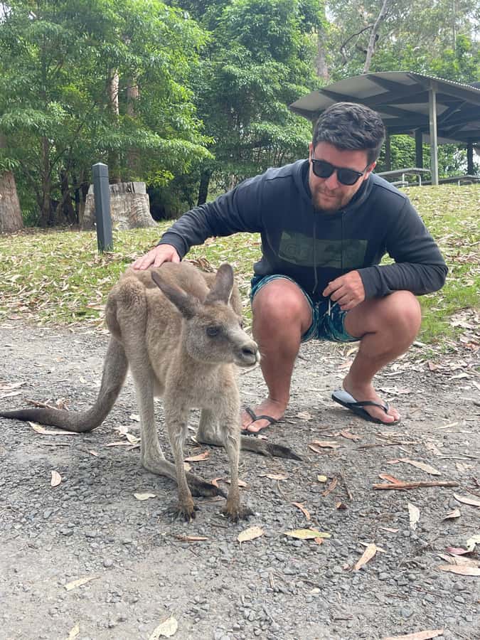 From Sydney: Jervis Bay Day Tour and Dolphin Watching Cruise - Hyams Beach and the White Sand Walk