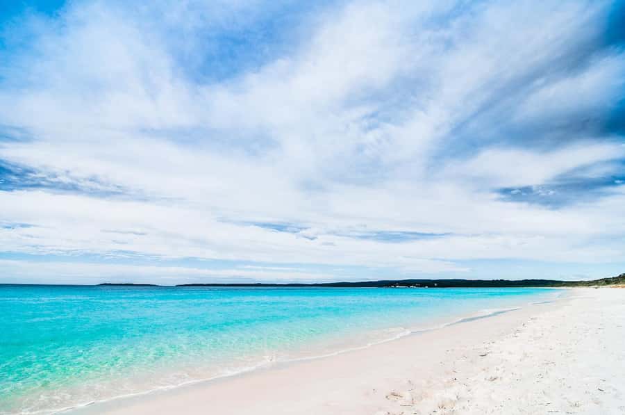 From Sydney: Jervis Bay Day Tour and Dolphin Watching Cruise - Cave Beach in Booderee National Park