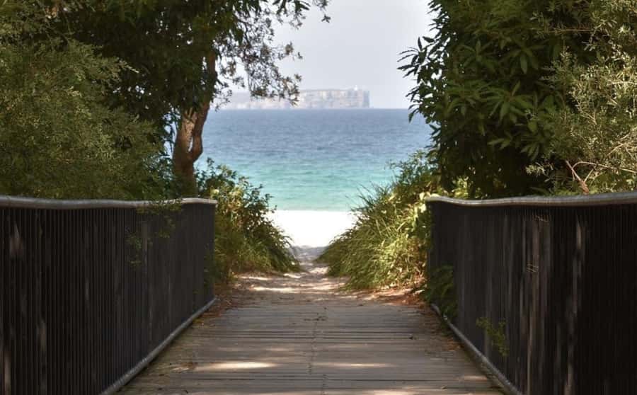 From Sydney: Jervis Bay Day Tour and Dolphin Watching Cruise - What to bring and who should book