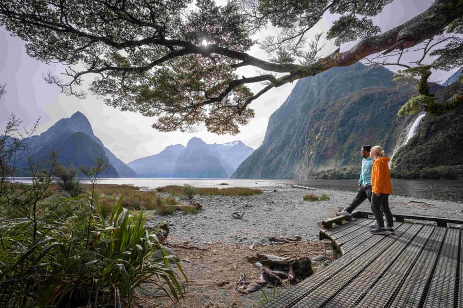 From Te Anau: Milford Sound Coach, Cruise, and Walks - Who will enjoy this Milford Sound day most