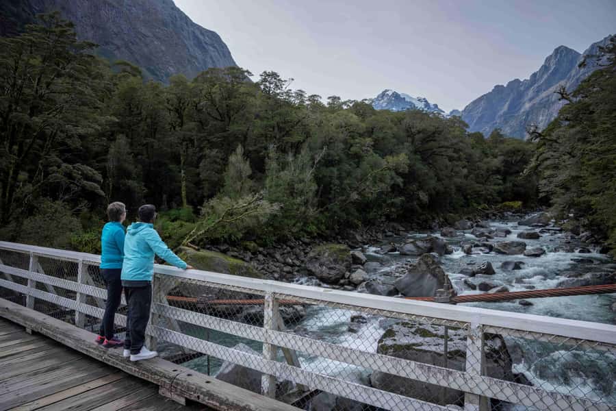 From Te Anau: Milford Sound Coach, Cruise, and Walks - Why starting in Te Anau makes sense