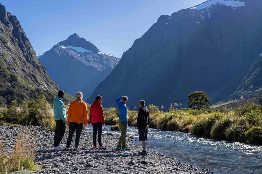 From Te Anau: Milford Sound Coach, Cruise, and Walks - Scenic stops around Lake Gunn and Hollyford Valley