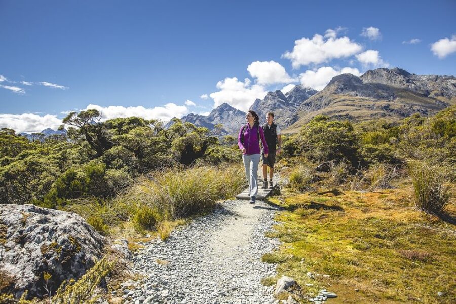 From Te Anau: Milford Sound Coach, Cruise, and Walks - Lunch, comfort, and the small-group difference