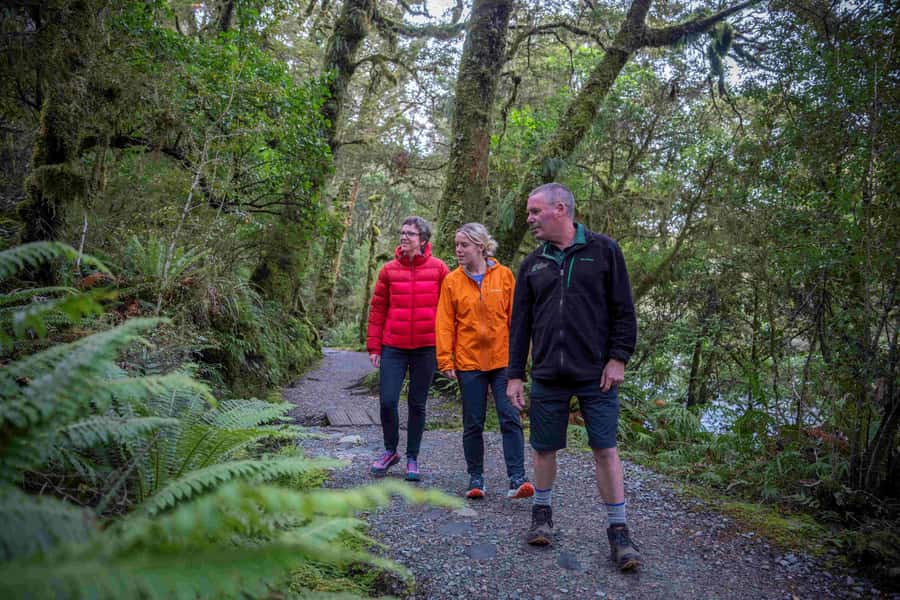 From Te Anau: Milford Sound Coach, Cruise, and Walks - Price and value at $164 per person