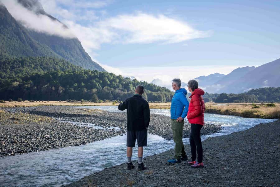 From Te Anau: Milford Sound Coach, Cruise, and Walks - The Milford Road ride is part of the tour