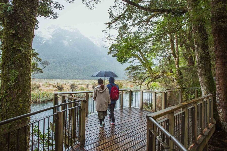 From Te Anau: Milford Sound Coach Tour and Cruise - Picnic lunch, hot drinks, and onboard comfort
