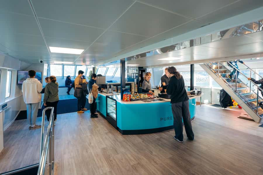From Te Anau: Milford Sound Coach Tour and Cruise - The value of $110 per person