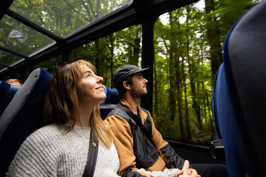From Te Anau: Milford Sound Cruise and Coach Day Trip - How the guides shape the experience