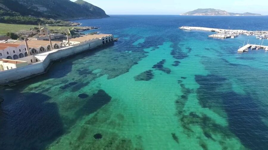 From Trapani: Day Cruise to Favignana & Levanzo with Lunch - Leaving Trapani at 9:30