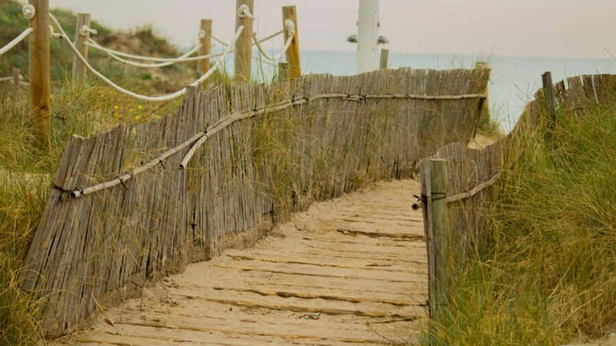 From Valencia: Albufera Natural Park Eco Boat Tour & Sunset - Key points before you book