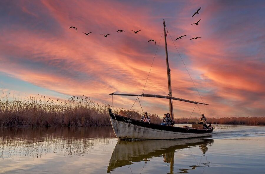 From Valencia: Albufera Natural Park Eco Boat Tour & Sunset - Why Albufera makes a smart escape from Valencia