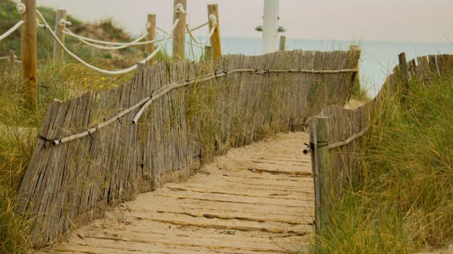 From Valencia: Albufera Natural Park Eco Boat Tour & Sunset - Morning or sunset: choose your timing carefully