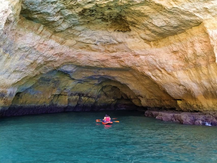 From Vilamoura: 2.5-Hour Benagil Cave and Dolphins Boat Tour - Is $53 good value?