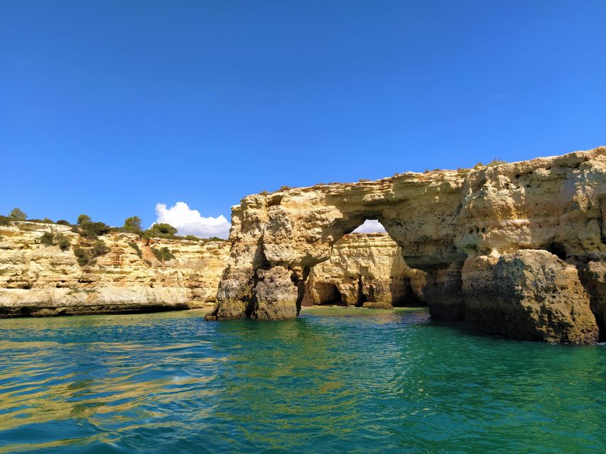 From Vilamoura: 2.5-Hour Benagil Cave and Dolphins Boat Tour - Who will enjoy this boat trip most?
