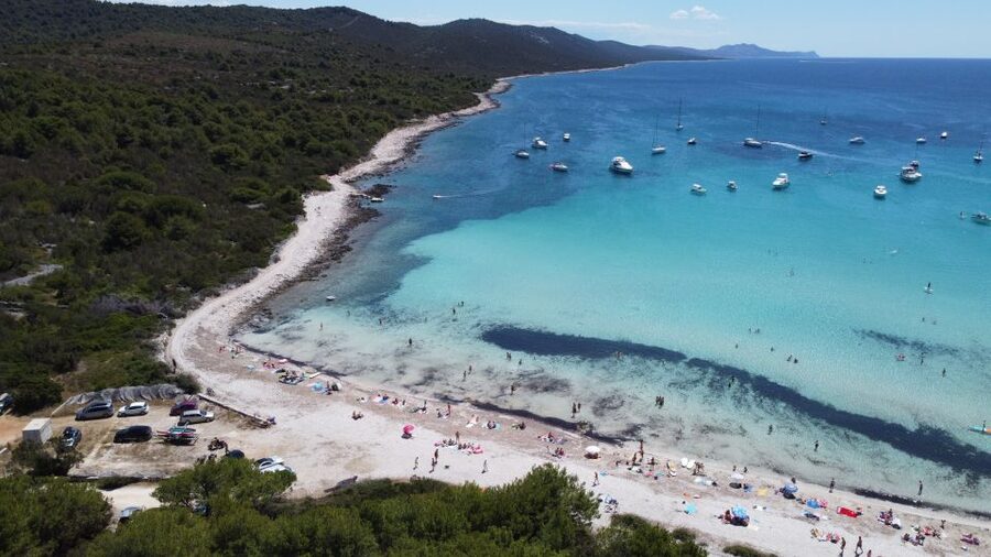 From Zadar: Full-Day Boat Trip to Sakarun Beach & Dugi Otok - Božava and the island bus connection