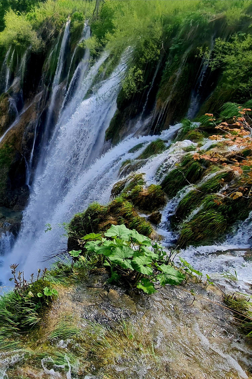 From Zadar: Plitvice Lakes Day Trip with Guide and Boat Tour - Meeting in Zadar and choosing your departure