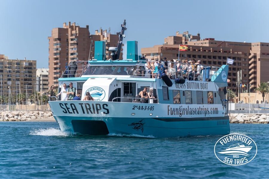Fuengirola: Catamaran Tour to Spot Dolphins - Key details before you book