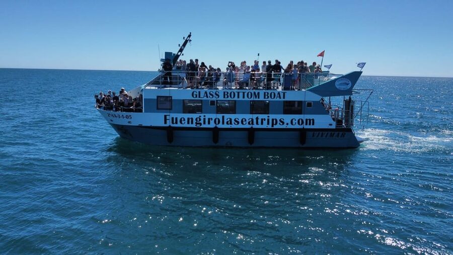 Fuengirola: Catamaran Tour to Spot Dolphins - Setting out from Fuengirola Harbor