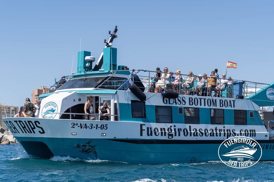 Fuengirola: Catamaran Tour to Spot Dolphins - Finding a pod and watching the dolphins