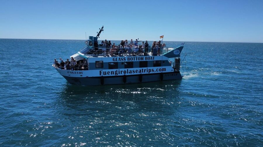 Fuengirola: Catamaran Tour to Spot Dolphins - Sea conditions, motion, and comfort